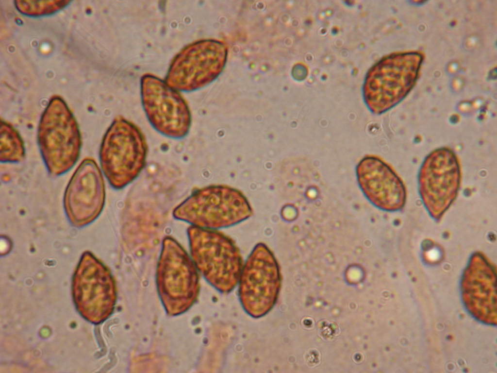 E'' tempo di .... QUIZZZZ